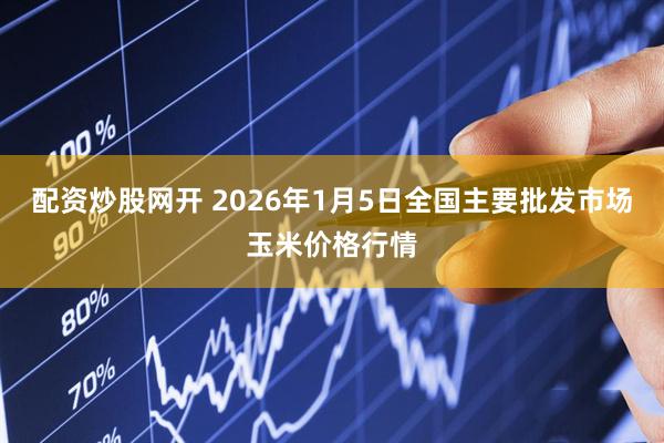 配资炒股网开 2026年1月5日全国主要批发市场玉米价格行情